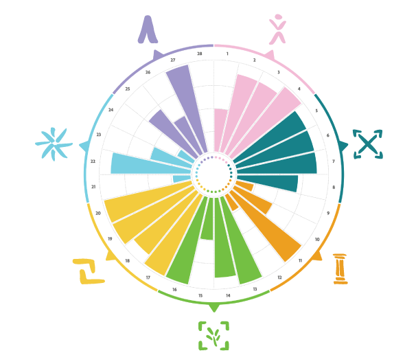 DBSA Wellness Wheel