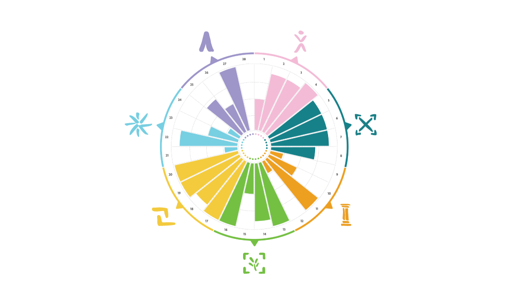 DBSA Wellness Wheel